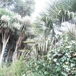 Article teaser image