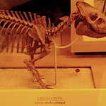 Article teaser image