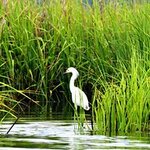 Article teaser image