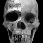 Article teaser image