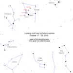 Article teaser image