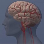 Article teaser image