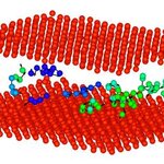 Article teaser image