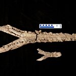 Article teaser image