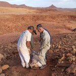 Article teaser image