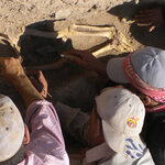 Article teaser image