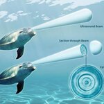 Article teaser image