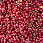 Article teaser image