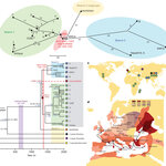 Article teaser image