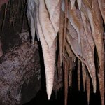 Article teaser image