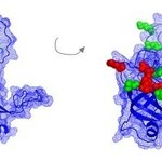 Article teaser image