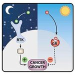 Article teaser image