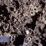 Article teaser image