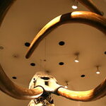 Article teaser image