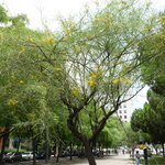 Article teaser image