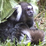 Article teaser image