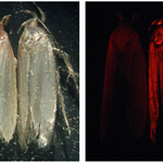 Article teaser image