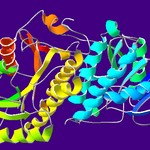 Article teaser image