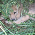 Article teaser image