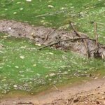 Article teaser image