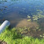 Article teaser image