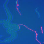 Article teaser image