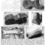 Article teaser image