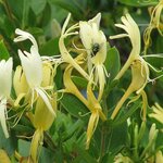 Article teaser image