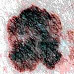 Article teaser image