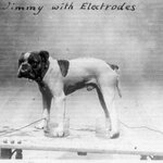 Article teaser image