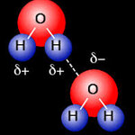 Article teaser image