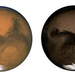 Article teaser image