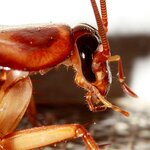 Article teaser image