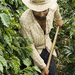 Article teaser image