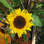 Article teaser image