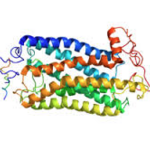 Article teaser image