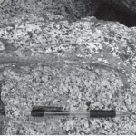 Article teaser image