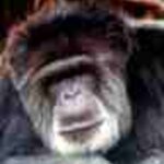 Article teaser image