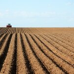 Article teaser image