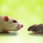 Article teaser image