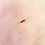 Article teaser image