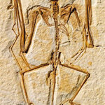 Article teaser image