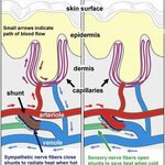 Article teaser image