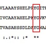 Article teaser image