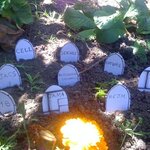 Article teaser image