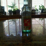 Article teaser image