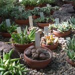 Article teaser image