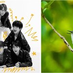 Article teaser image