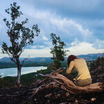 Article teaser image