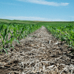 Article teaser image